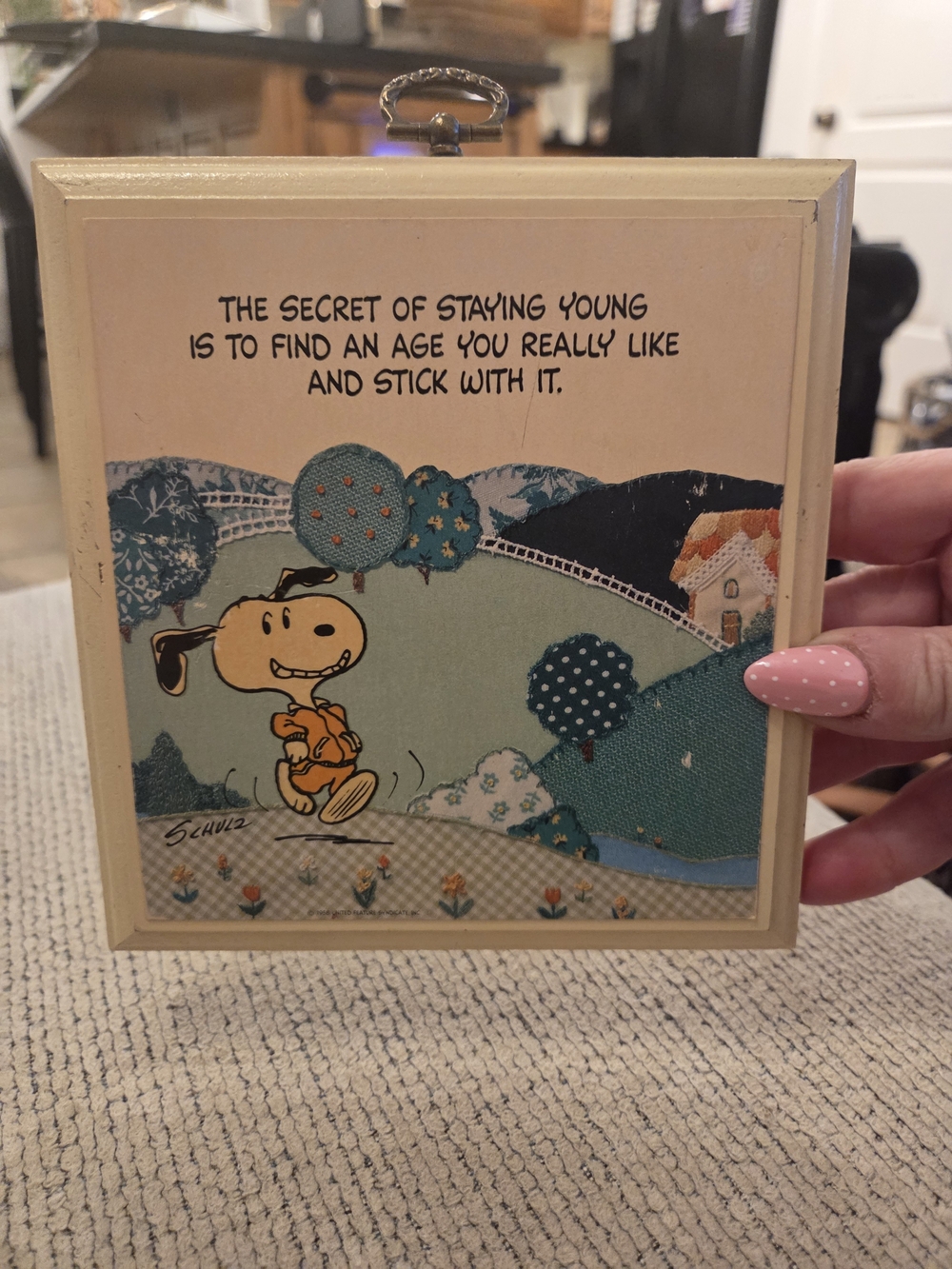 Peanuts Snoopy Wall Plaque - Cream Frame with Blue, Teal & Orange Artwork